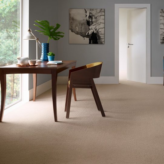 Wholesale Flooring Domestic Carpet