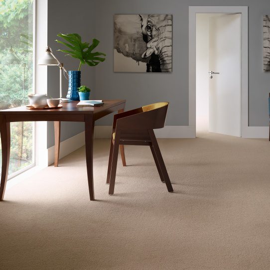 Carpet Wholesaler Wholesale Flooring Domestic Carpet