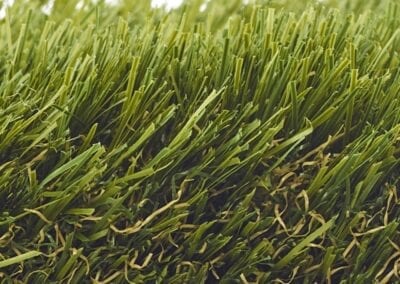 Garden with Artificial Grass