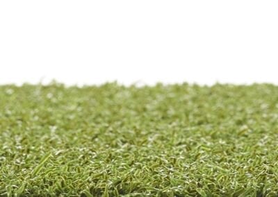 Artificial Grass Playing Field