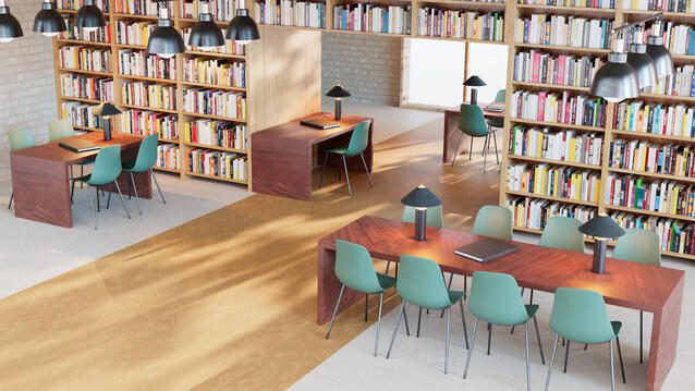 Loose Lay 1 School Flooring Lino